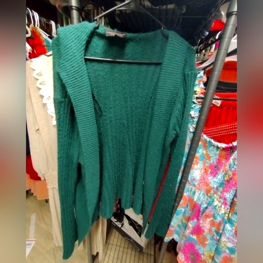 Absolutely from Stitch Fix Size XL Hooded Sweater
